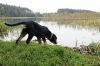 Filename=Pid_jezioro.jpg
Filesize=136KB
Dimensions=1024x680
Date added=Oct 21, 2011 Pid_jezioro.jpg