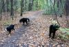 Filename=podk_berny.JPG
Filesize=435KB
Dimensions=1280x882
Date added=Oct 21, 2011 podk_berny.JPG