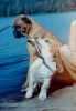 Filename=bina_cd4.JPG
Filesize=106KB
Dimensions=800x1154
Date added=May 15, 2009 bina_cd4.JPG