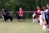 Filename=zmDSCF7670.JPG
Filesize=509KB
Dimensions=1280x877
Date added=Jul 18, 2009 zmDSCF7670.JPG